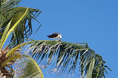 Dreams-Resort-und-Spa-Tulum, PB170508_b_H600Px